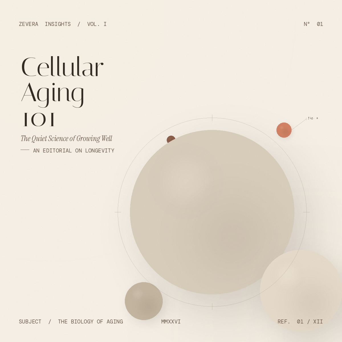 Cellular Aging 101: The Quiet Science of Growing Well